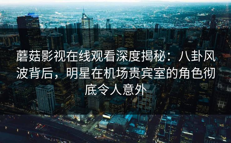 蘑菇影视在线观看深度揭秘：八卦风波背后，明星在机场贵宾室的角色彻底令人意外