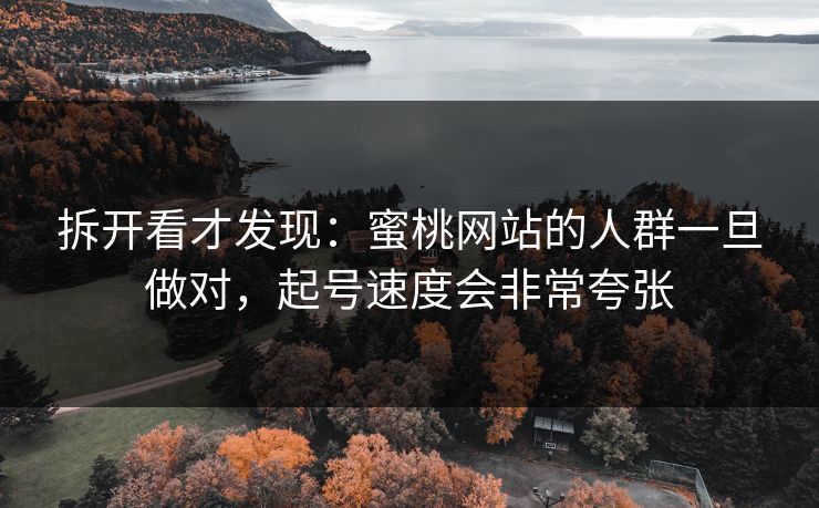拆开看才发现：蜜桃网站的人群一旦做对，起号速度会非常夸张