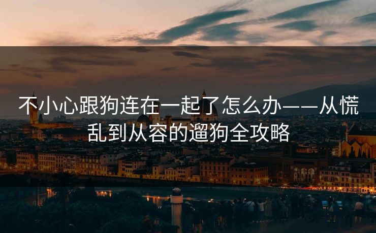 不小心跟狗连在一起了怎么办——从慌乱到从容的遛狗全攻略