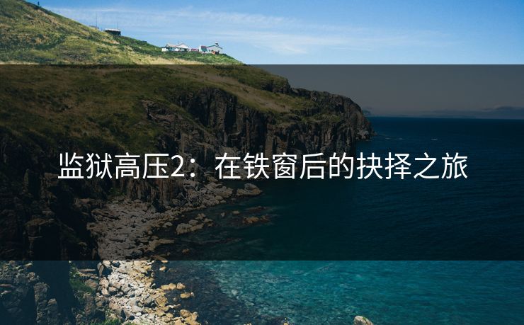监狱高压2：在铁窗后的抉择之旅