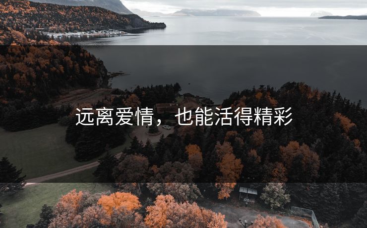 远离爱情，也能活得精彩