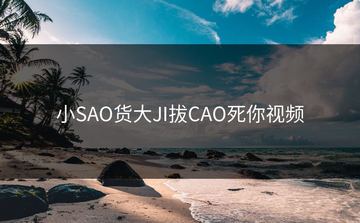 小SAO货大JI拔CAO死你视频